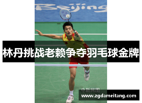 林丹挑战老赖争夺羽毛球金牌